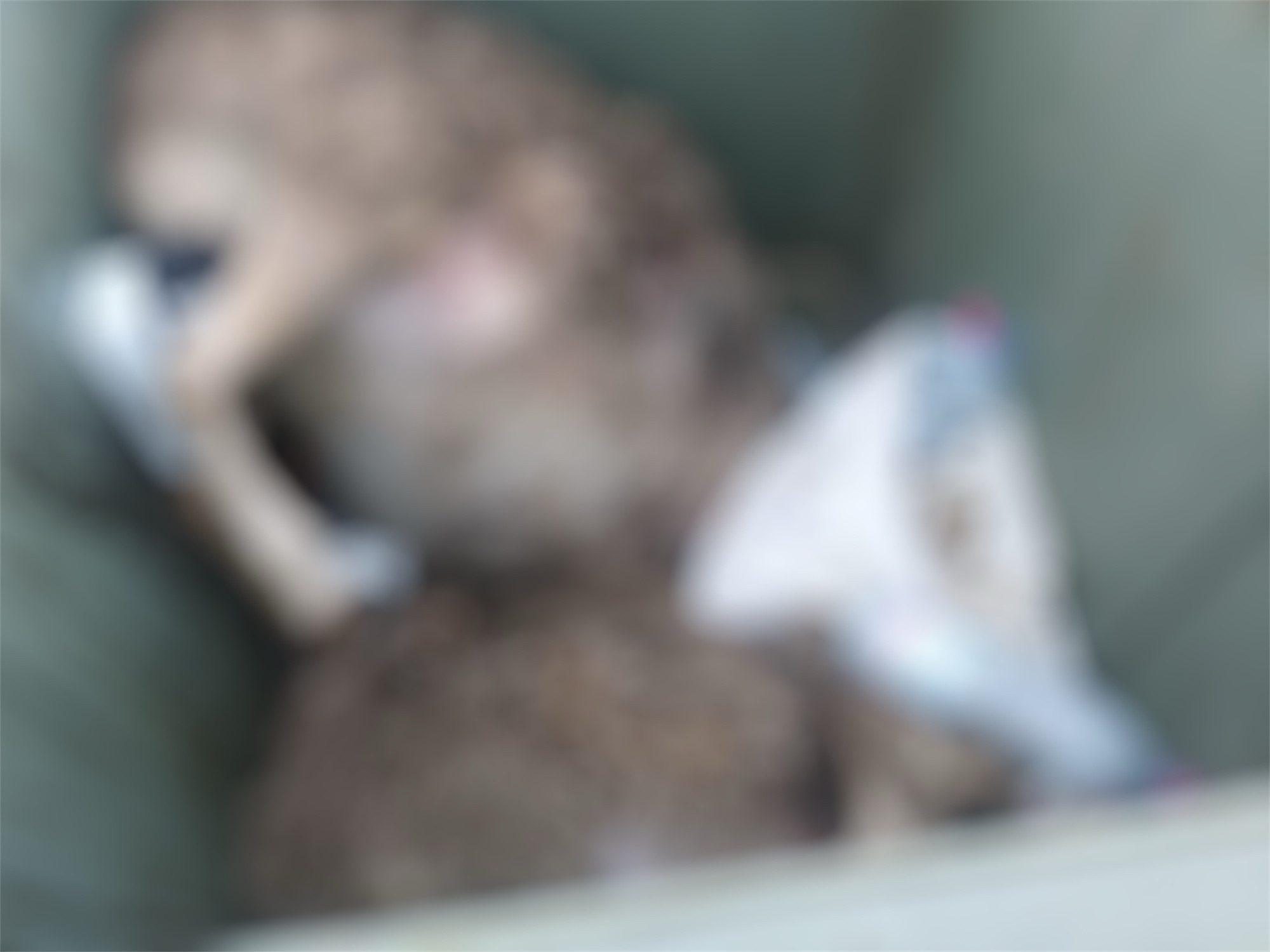 Νεκρά πρόβατα πεταμένα σε κάδους απορριμμάτων