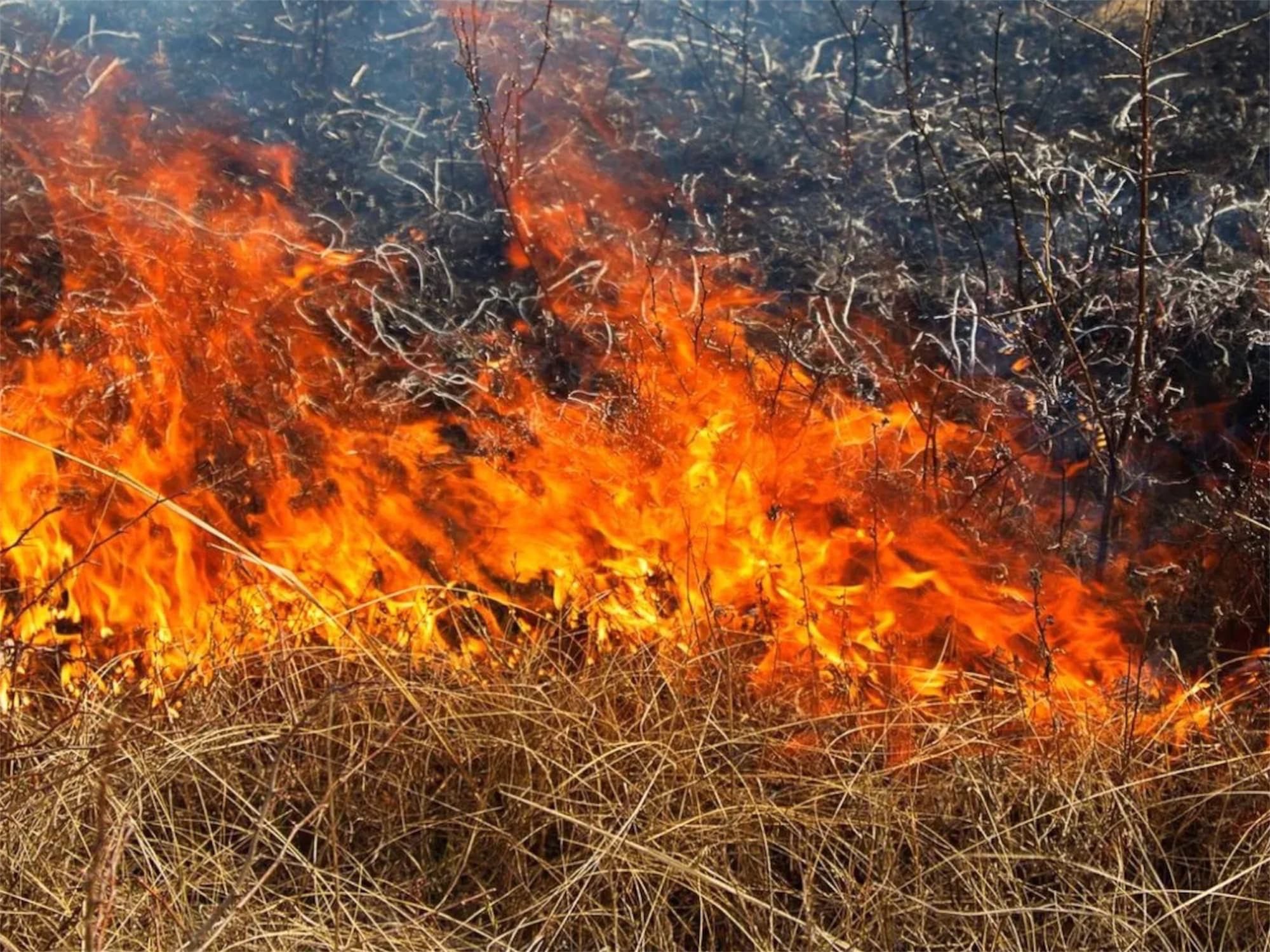 πρόστιμο 1000 ευρώ Ναύπλιο